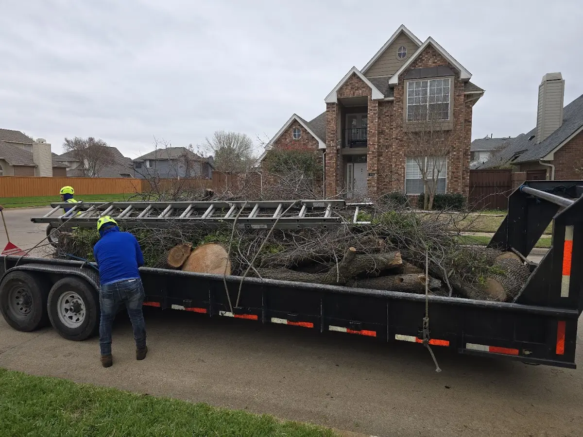 Expert Tree Pest Control with proper safety equipment in Onalaska